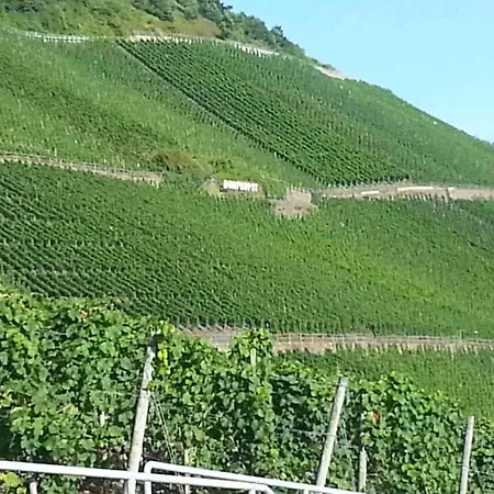 Weinhaus Zum Josefshof Graach