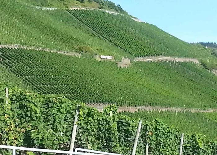 Zum Josefshof Graach